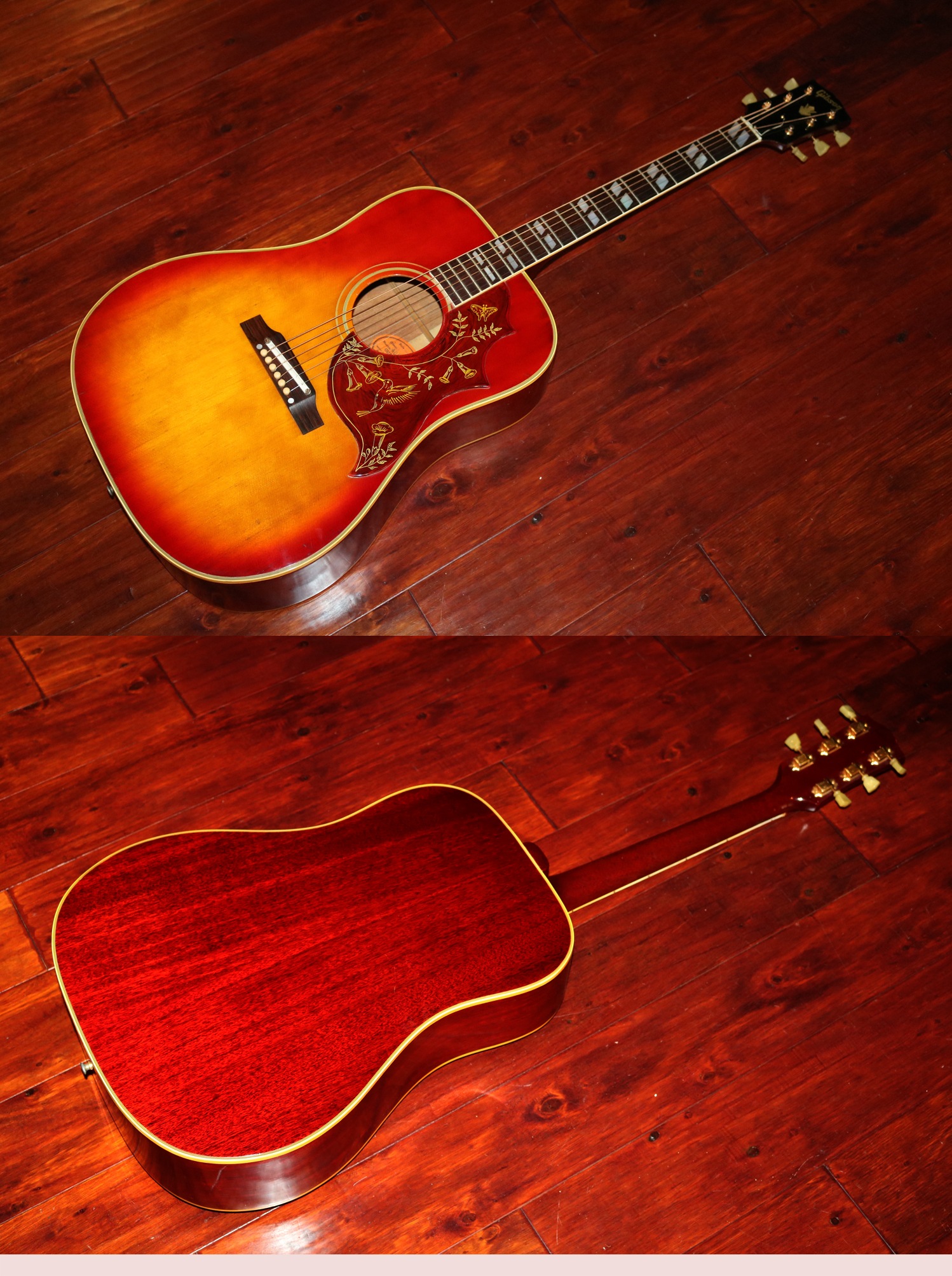 gibson hummingbird gibson hummingbird
